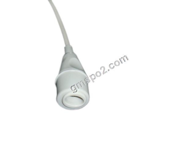 edward IBP מתאם-.jpg