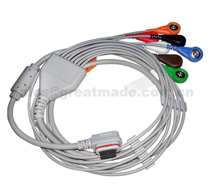 2008594-004 כבל / Leadwires לולט אור לורה אור הלוח Seer, 3 ערוצים (7-Ld), אהא